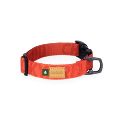 Town Basic Collar Orange