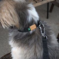 Town Basic Collar Khaki