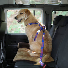 Trip Seat Belt Blue