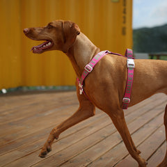 Trip Harness Pink