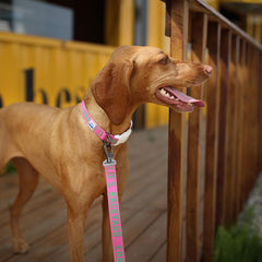 Trip Leash Pink
