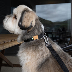 Town Basic Collar Black