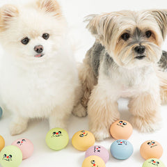 Bite Me Friends Latex Ball Dog Toy Set (12pc)