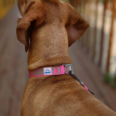 Trip Collar Pink