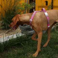 Trip Harness Pink