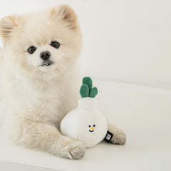 Vegetable Nosework Dog Toy - Garlic