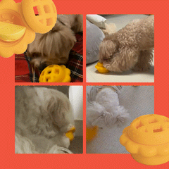 Sniffy Lemon & Pie Dog Nosework Toys (2pc)