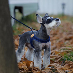 Adjustable Easy Harness Navy