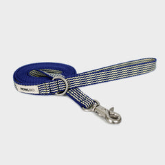 HOWLGO Leash Blue