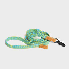 We Are Tight Ribbon Leash Palm Tree