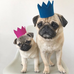 Party Beast Dog Crown Pink