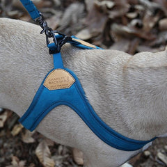 Buckle-Up Easy Harness Blue