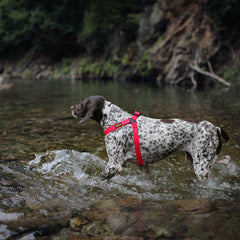 DeWater Waterproof Harness Pink