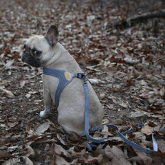 Buckle-Up Easy Harness Gray