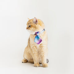 Pet Neck Tie - Rainbow