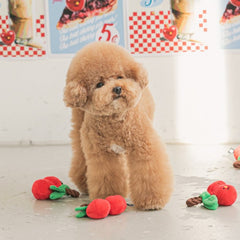 Cherries Tug Dog Toy