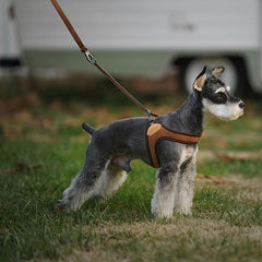 Adjustable Easy Harness Brown