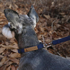 Easy Leash Navy
