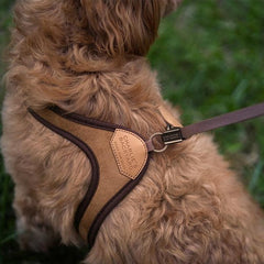 Adjustable Easy Harness Brown