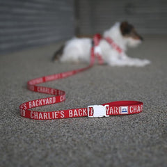 Trip Leash Red