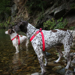 DeWater Waterproof Harness Pink