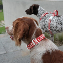 Trip Collar Red