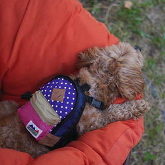Charlie's Dog Backpack Violet