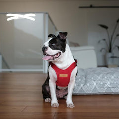 Comfort Harness Red