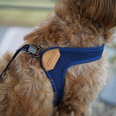 Adjustable Easy Harness Navy