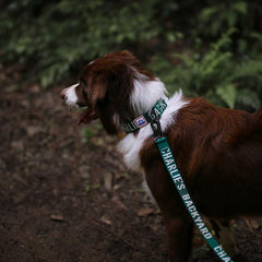 Trip Leash Green