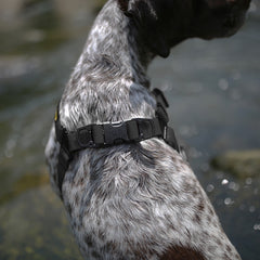DeWater Waterproof Harness Black