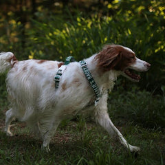 Trip Harness Green