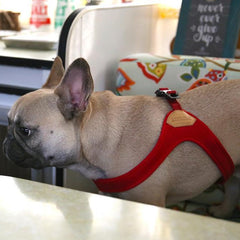 Buckle-Up Easy Harness Red