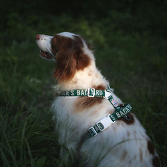 Trip Harness Green