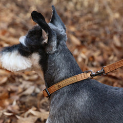 Easy Collar Brown