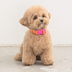 Candy Crayon Collar - Orange