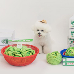 Vegetable Nosework Dog Toy - Cabbage