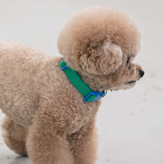 Candy Crayon Collar - Green