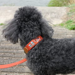 Adventure Collar Mars