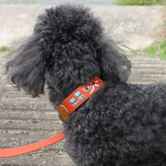 Adventure Leash Mars