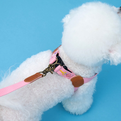 Adventure Leash Budapest