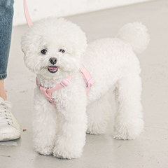 Candy Crayon Harness - Light Pink