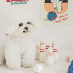 Latex Bowling Dog Toy Set (1 Pin + 1 Ball)