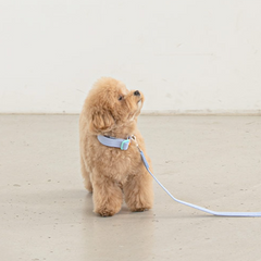Candy Crayon Collar - Light Blue