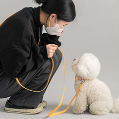 Macaron Waterproof Collar - Honey Yellow