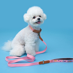 Adventure Leash Budapest