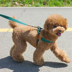 Adventure Leash Birdie