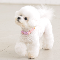 Candy Crayon Collar - Light Pink