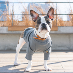 Adventure Collar Gotham