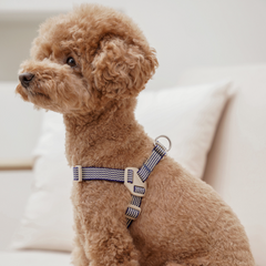 HOWLGO Adjustable Harness Blue